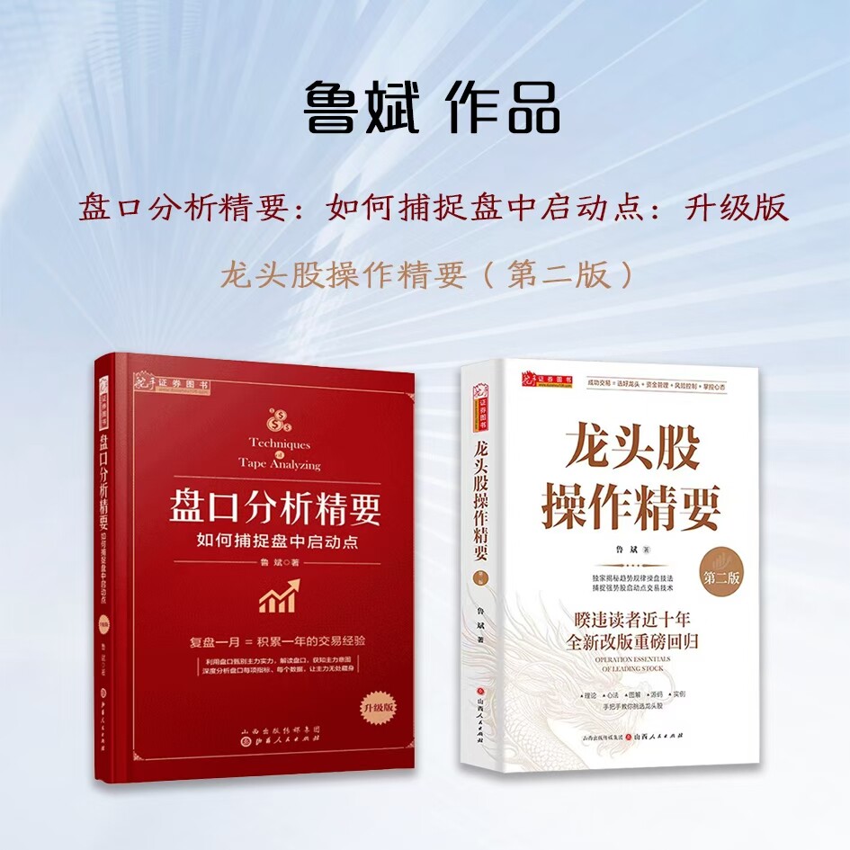 鲁斌作品  盘口分析精要：如何捕捉盘中启动点 龙头股操作精要（第二版）