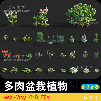 C4D景观室内景观装饰多肉植物盆栽绿植花卉MAX-Vray设计3D素材FBX