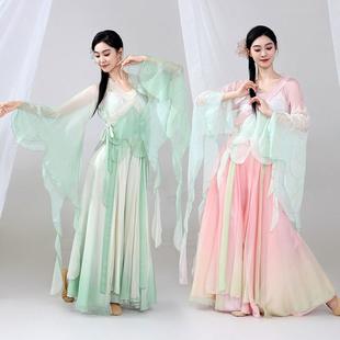 古典舞蹈服女飘逸仙气蝴蝶纱衣中国舞表演出服套装 艺考身韵练功服