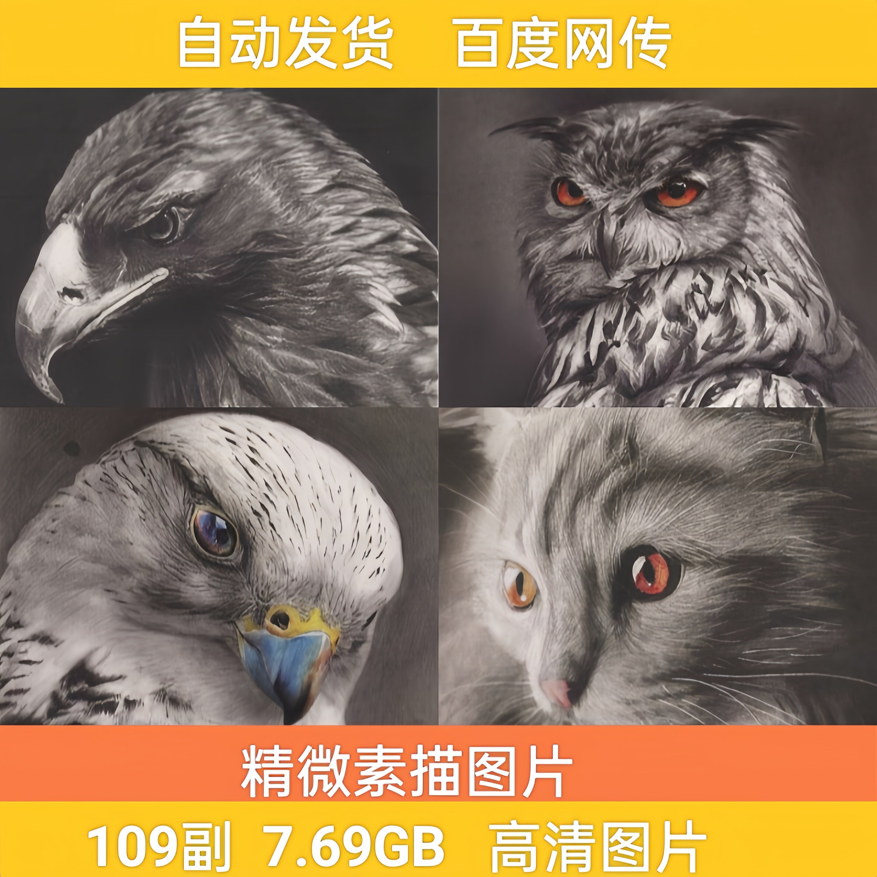 超写实精微素描头像电子版高清人物动物高清彩铅素描范画临摹素材