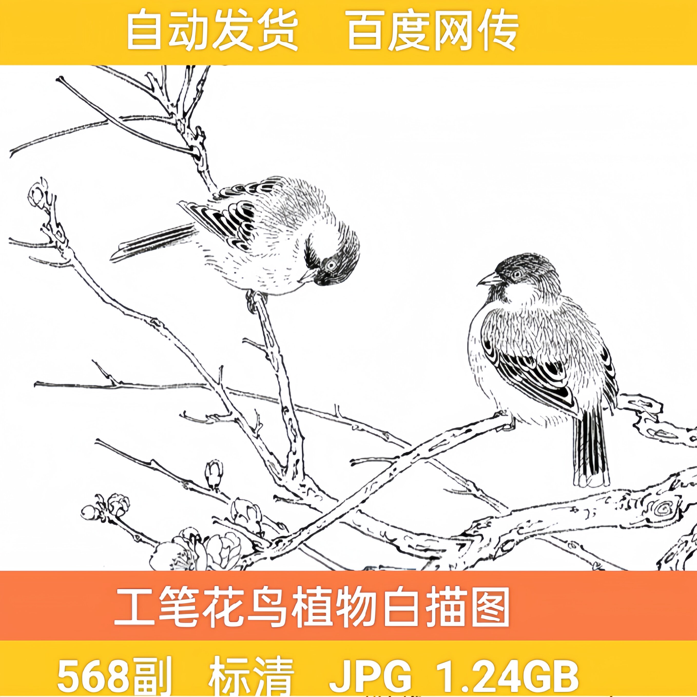 花卉白描线描图集花鸟植物线稿工笔画国画高清电子版图片素材