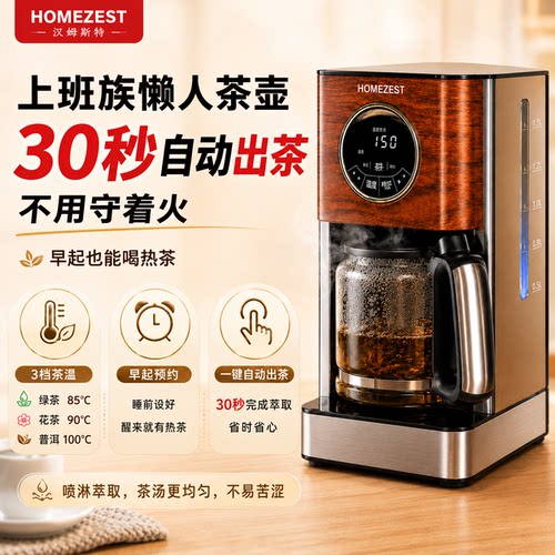 德国HOMEZEST煮茶器家用小型养生