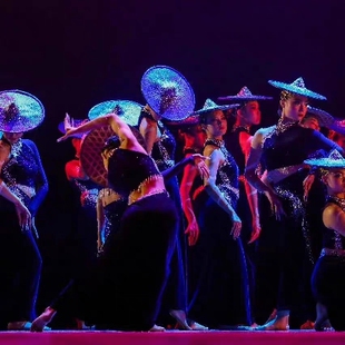 新款第十二届中国舞蹈荷花奖民族民间傣族服陶醉了同款演出服定制