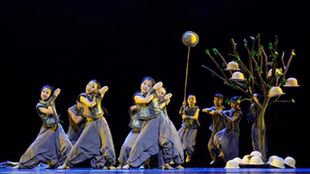 儿童舞蹈演出服小荷风采我爱我的家乡表演服装少儿民族风舞台服饰