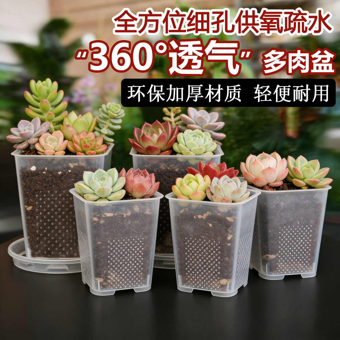 【透气排水性强】多肉老桩种植小花盆加厚树脂方形盆种玉露九尾狐