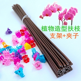【10根】蝴蝶兰花卉专用固定支架软铁丝线支撑杆藤蔓植物造型造景