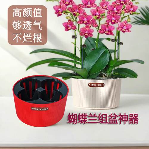 蝴蝶兰组盆竖纹罗马风塑料四孔盆