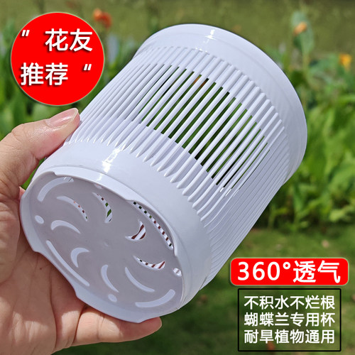 树脂通风透气兰花多肉专用网孔杯