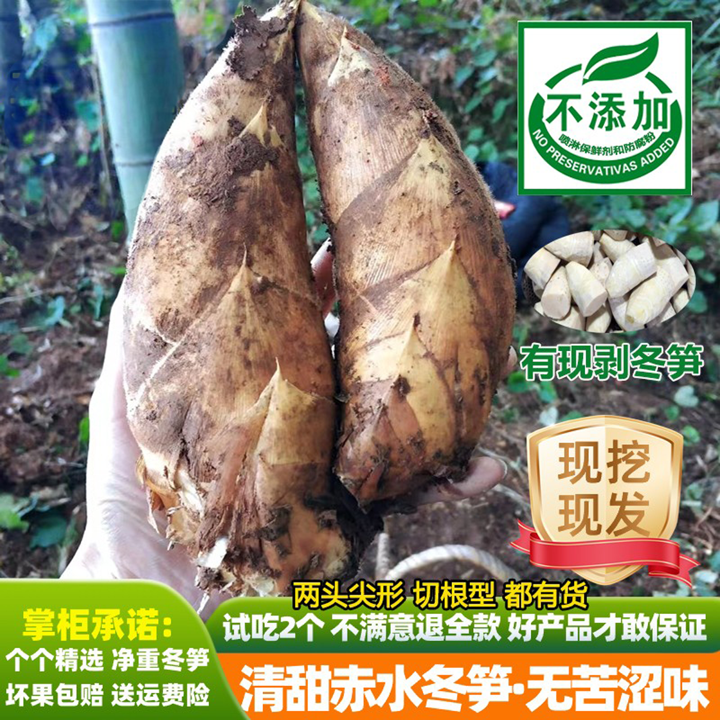 5斤嫩现挖大冬笋贵州赤水楠毛竹黄泥冬笋鲜竹笋剥壳野生切根笋尖