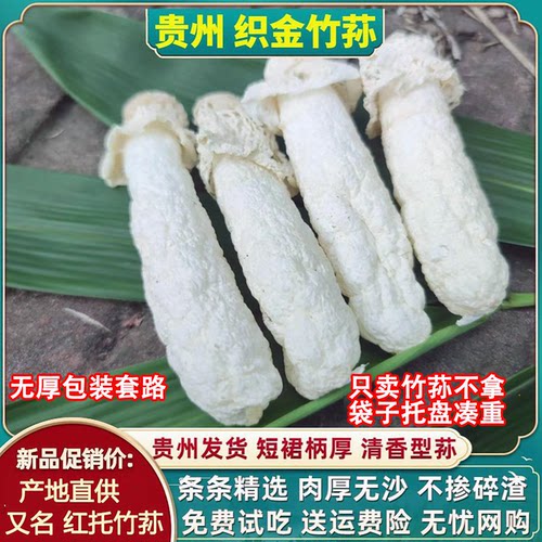 贵州织金竹荪干货竹笙竹参厚肉新鲜赤水红托竹荪短裙竹孙新干竹荪
