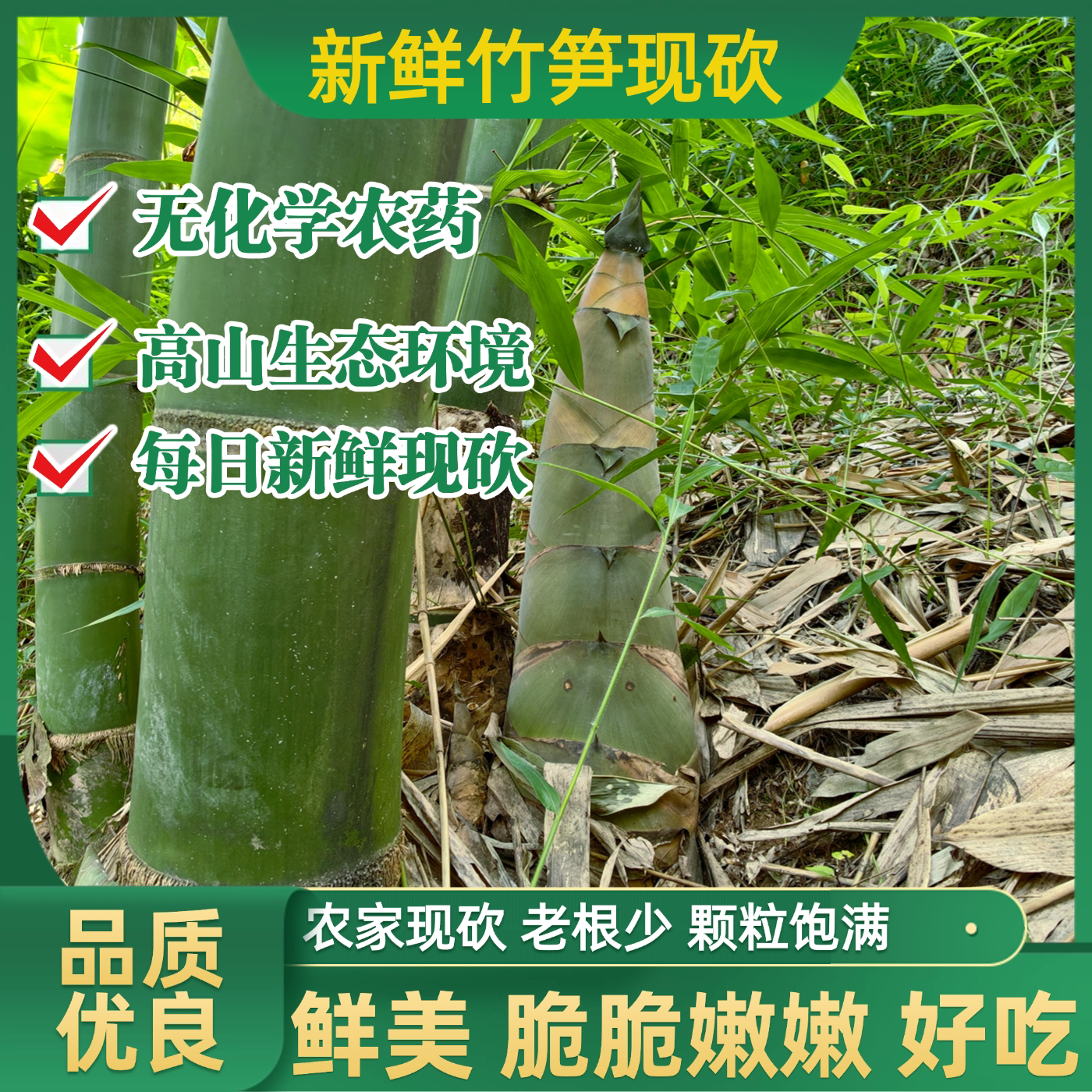 赤水新鲜现挖嫩脆笋苦麻竹笋农家野生菜笋绿皮广西大头笋可泡酸笋
