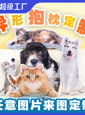 哇噢宠物卡通表情包异形抱枕创意仿真毛绒动漫人型公仔靠枕靠垫批