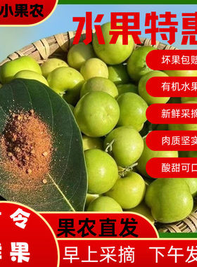 酸麻阔果特产云南保山酸新鲜酸脆嫁接青枣原树水果孕妇酸枣