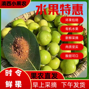 酸麻阔果特产云南保山酸新鲜酸脆嫁接青枣原树水果孕妇酸枣