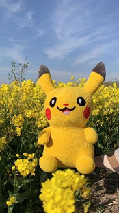 大号皮卡丘公仔羊毛羊皮毛绒玩具玩偶比卡丘可爱床上睡觉抱枕女生