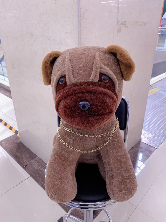 羊毛款旺财狗狗到家喽