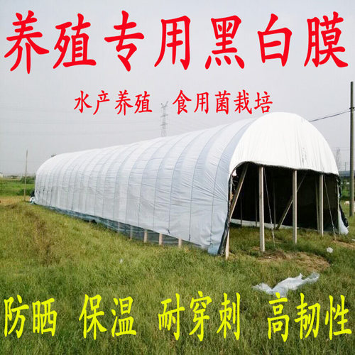 进口大棚遮阳雨食用菌隔热黑白膜