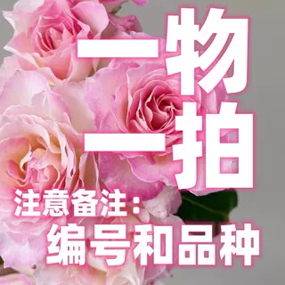 一物一拍备注品种名+编号 不备注发不了货 不延迟发货