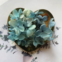 Зеленый глубокий зеленый цвет