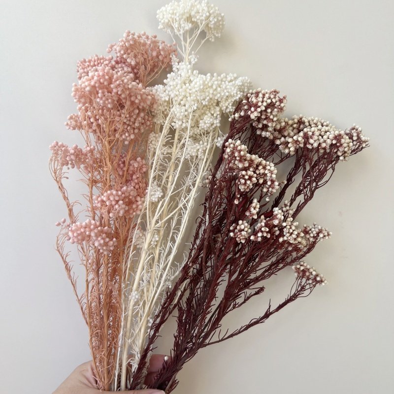 永生花整束diy材料 小米花戒指材料花艺插花装饰材料花瓶花束,鲜花速递/花卉仿真/绿植园艺,永生花,淘宝优惠券,粉丝福利购,淘宝优惠卷