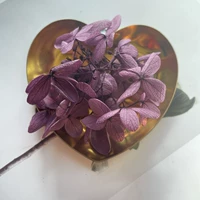 Темно -фиолетовый темный виноградный фиолетовый