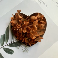 Шоколадный ретро цвет 1G