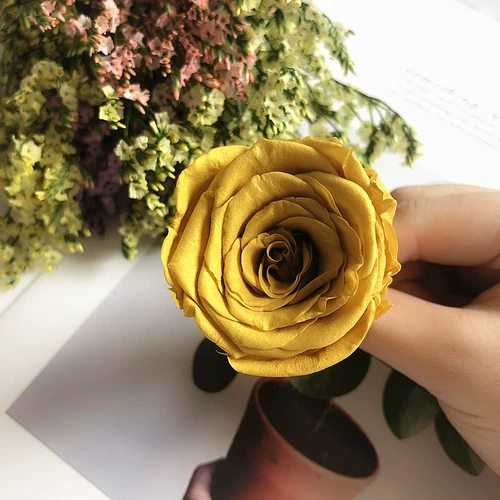 Вечная жизнь цветок цветок DIY Материал Bless B класс 4-5 одноцветная розовая голова роза подарок подарок ручной работы ручной работы