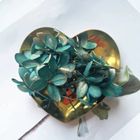 Золотое покрытие синего зеленого 1G