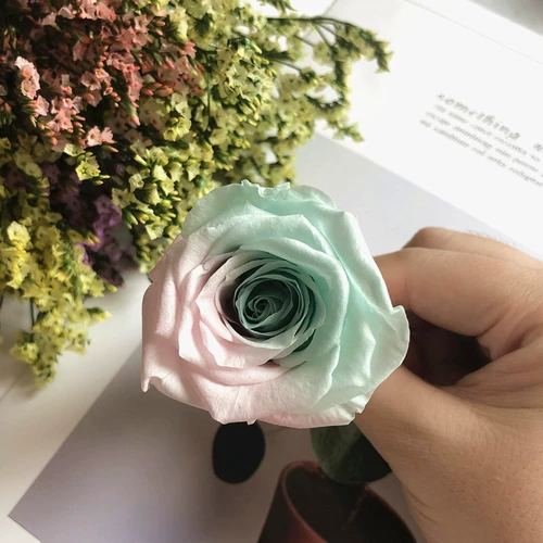 Вечная жизнь цветок цветок DIY Материал Bless B класс 4-5 одноцветная розовая голова роза подарок подарок ручной работы ручной работы