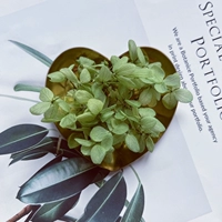 Армейская зеленая трава зеленая 1G