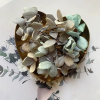 Серый светло -синий цвет 1G