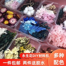 永生花干花材料包DIY相框贴画团扇浮游 团建活动花艺课手工花料包