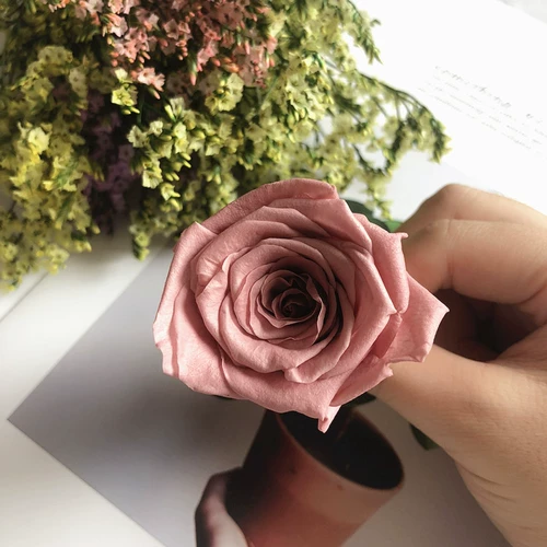 Вечная жизнь цветок цветок DIY Материал Bless B класс 4-5 одноцветная розовая голова роза подарок подарок ручной работы ручной работы