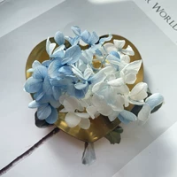 Глубокий хаки цвет светло -голубой цвет 1G