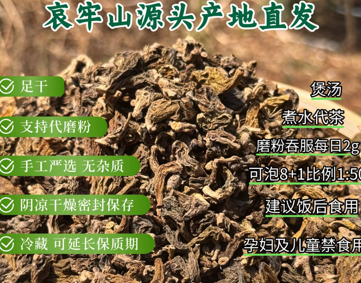 红珠虫石斛 正品无熏硫新货中越缅边境云南哀牢山精选精品发货