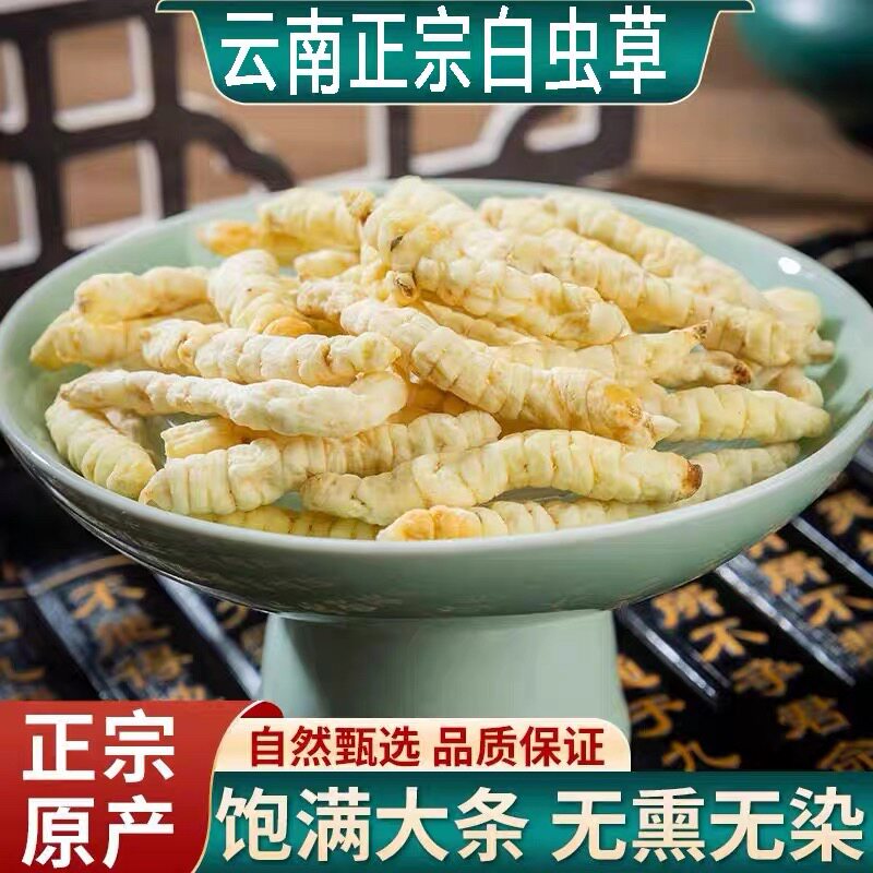白虫草参野生高山精选大条正品干货泡水煲汤滋补养身包邮免运费