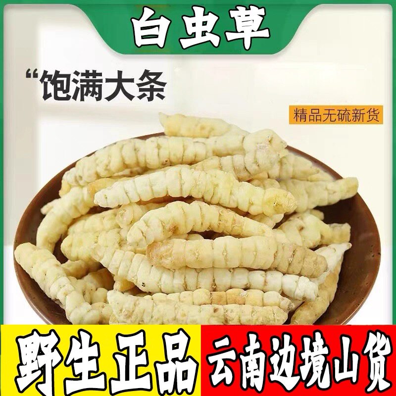 野生白虫草参250g克土冬虫草云南野生白虫草参阿松现收包邮