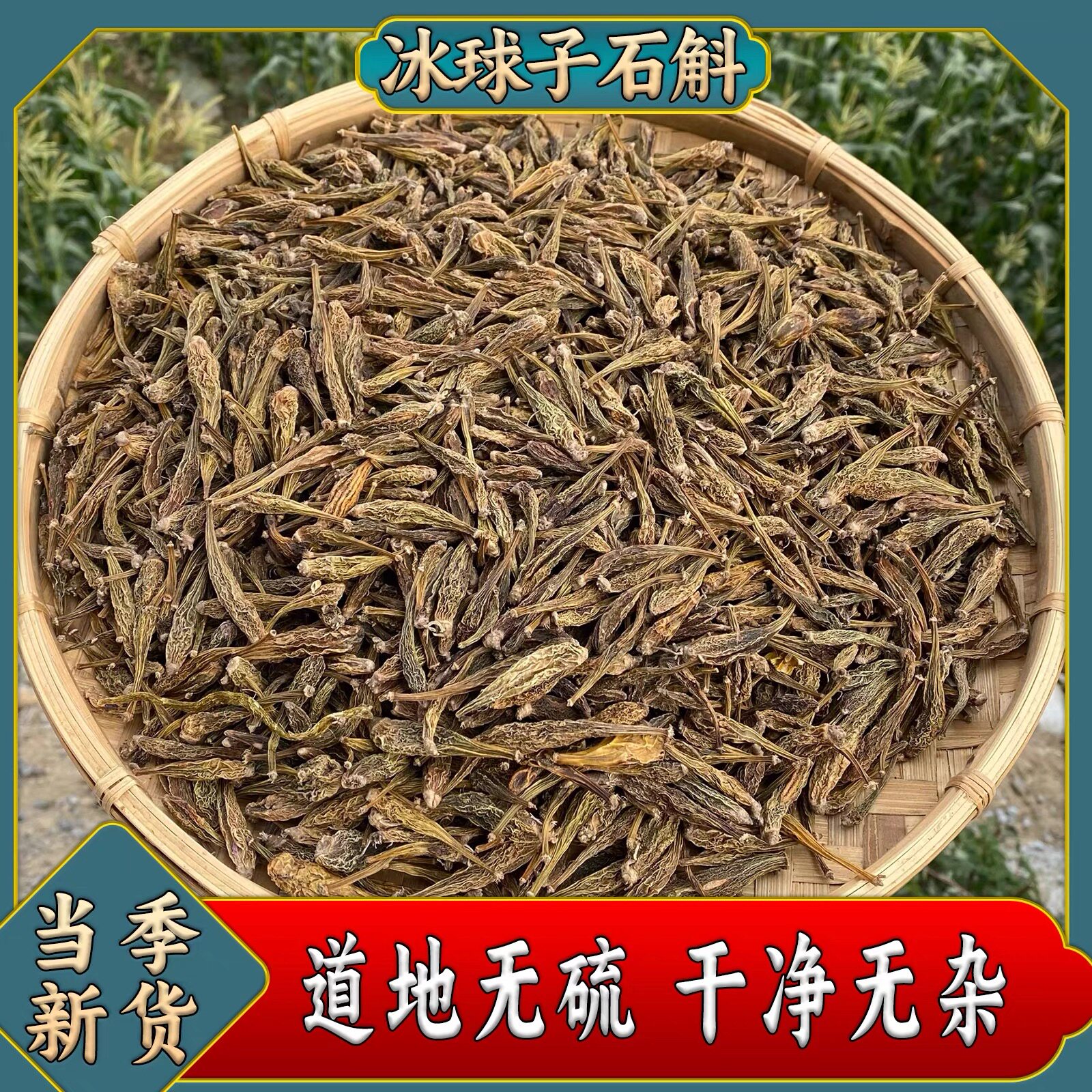 冰球子石斛正品新货无硫泡水煮水消炎养肝护肝散节养生