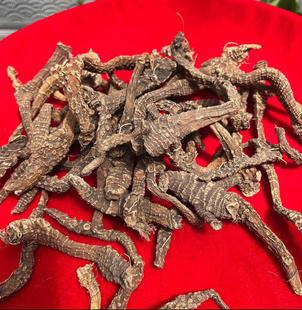 阿勃参 野生正品无硫熏无添加中缅边境云南阿松现收山货