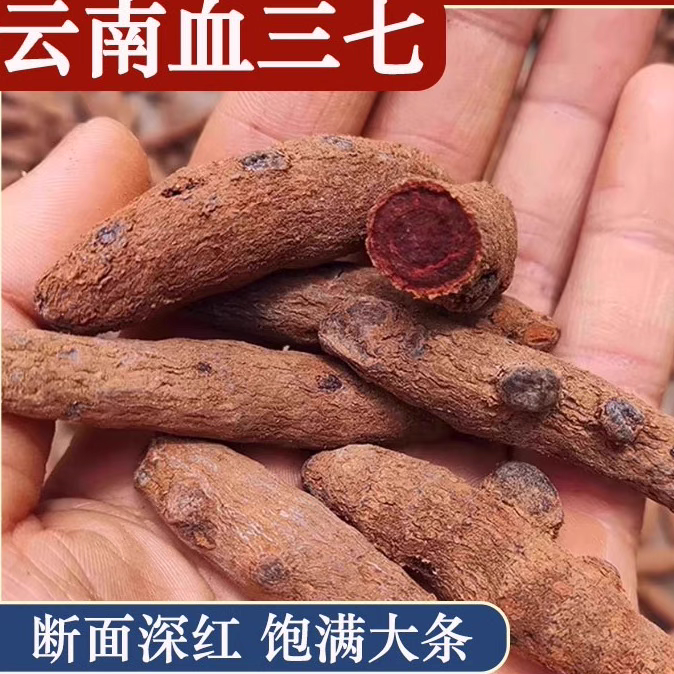 血三七龙血参野生正品云南红三七泡酒中缅边境阿松现收云南农产品
