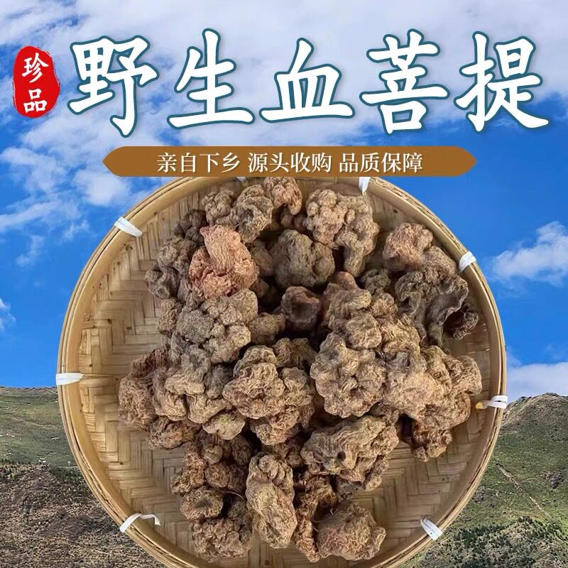 血菩提野生正品中缅边境阿松现收云南农产品（煮水煲汤泡酒）
