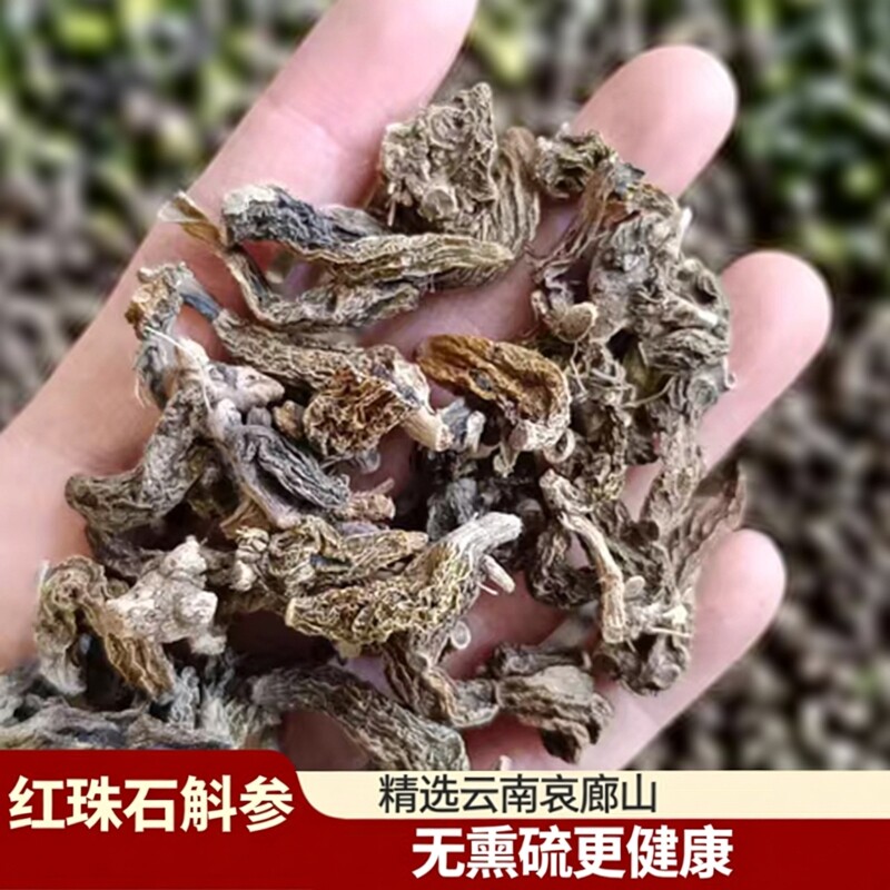 红珠虫石斛 正品无熏硫新货中越缅边境云南哀牢山精选精品发货