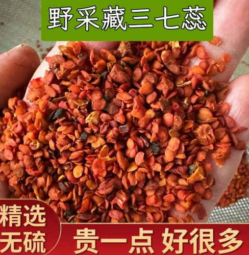 藏三七蕊  珠子参蕊 野生正品精选发货中缅边境阿松现收云南山货