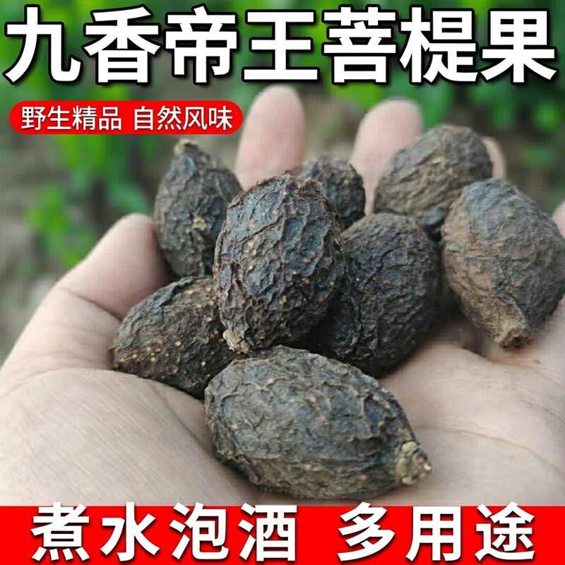 九香帝王菩提煮水泡水泡酒野生精品包邮发货中缅边境云南现收
