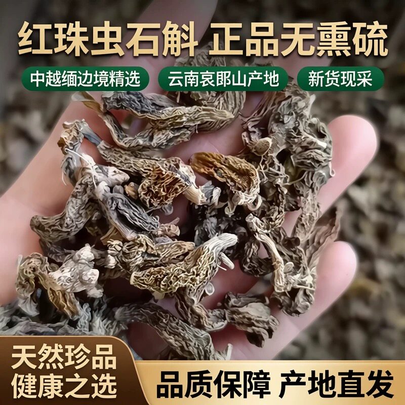 红珠虫石斛 正品无熏硫新货中越缅边境云南阿松精选精品发货包邮