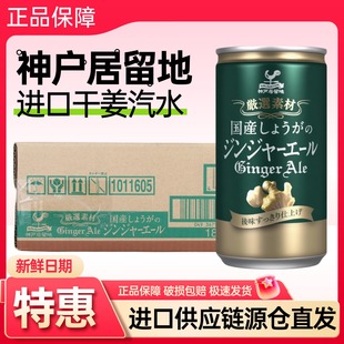 神户居留地干姜汽水 日本原装进口碳酸饮料 酒吧调酒基底调饮整箱