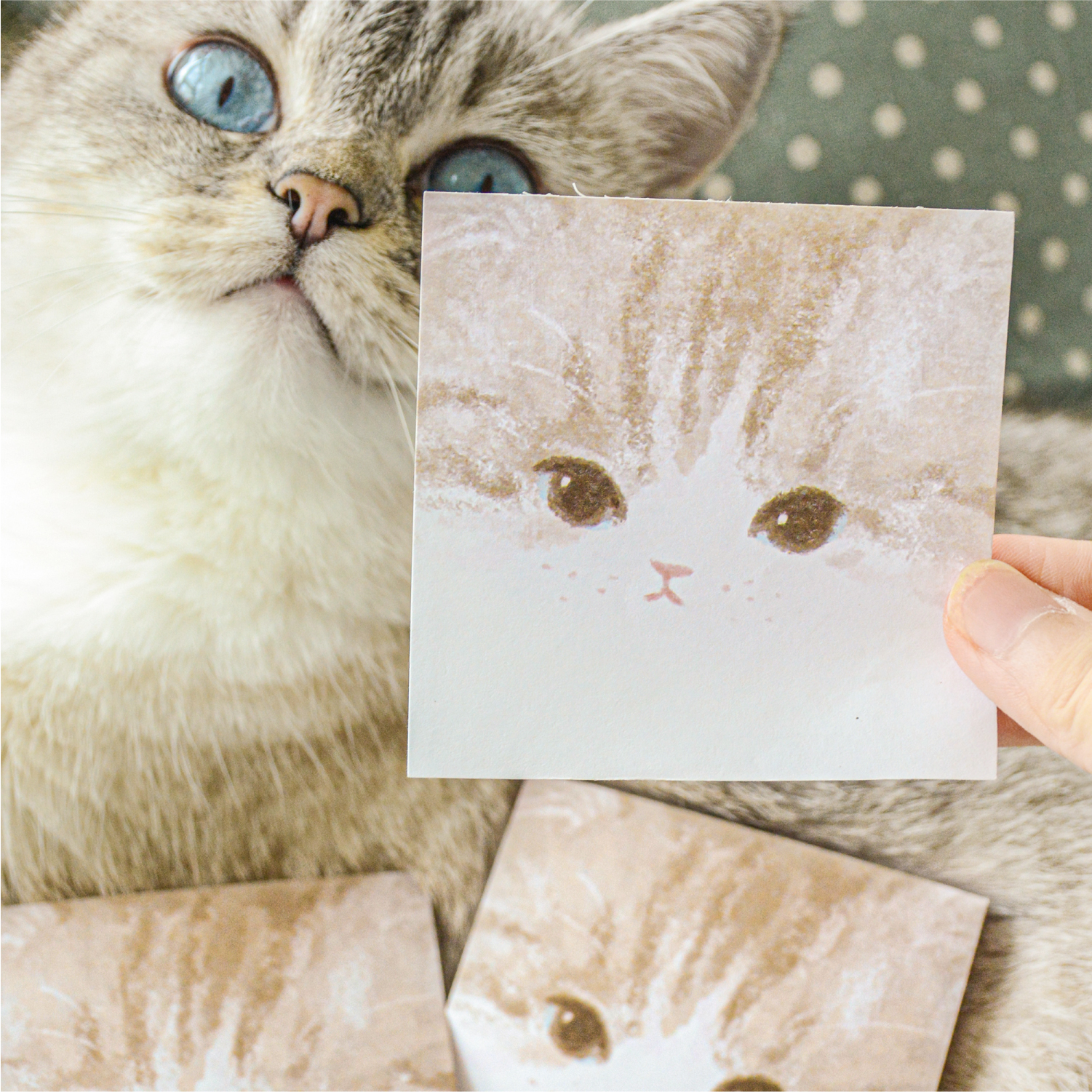 可爱萌宠猫狗便签纸 治愈无粘性留言纸便签手帐diy素材