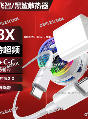 适用飞智B8X散热器充电器头30W快充B7X/B6X/B5X散热器超频数据线