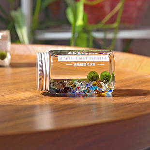 海藻球生态瓶微景观礼物摆件工位办公室绿植迷你水生球藻桌面盆景