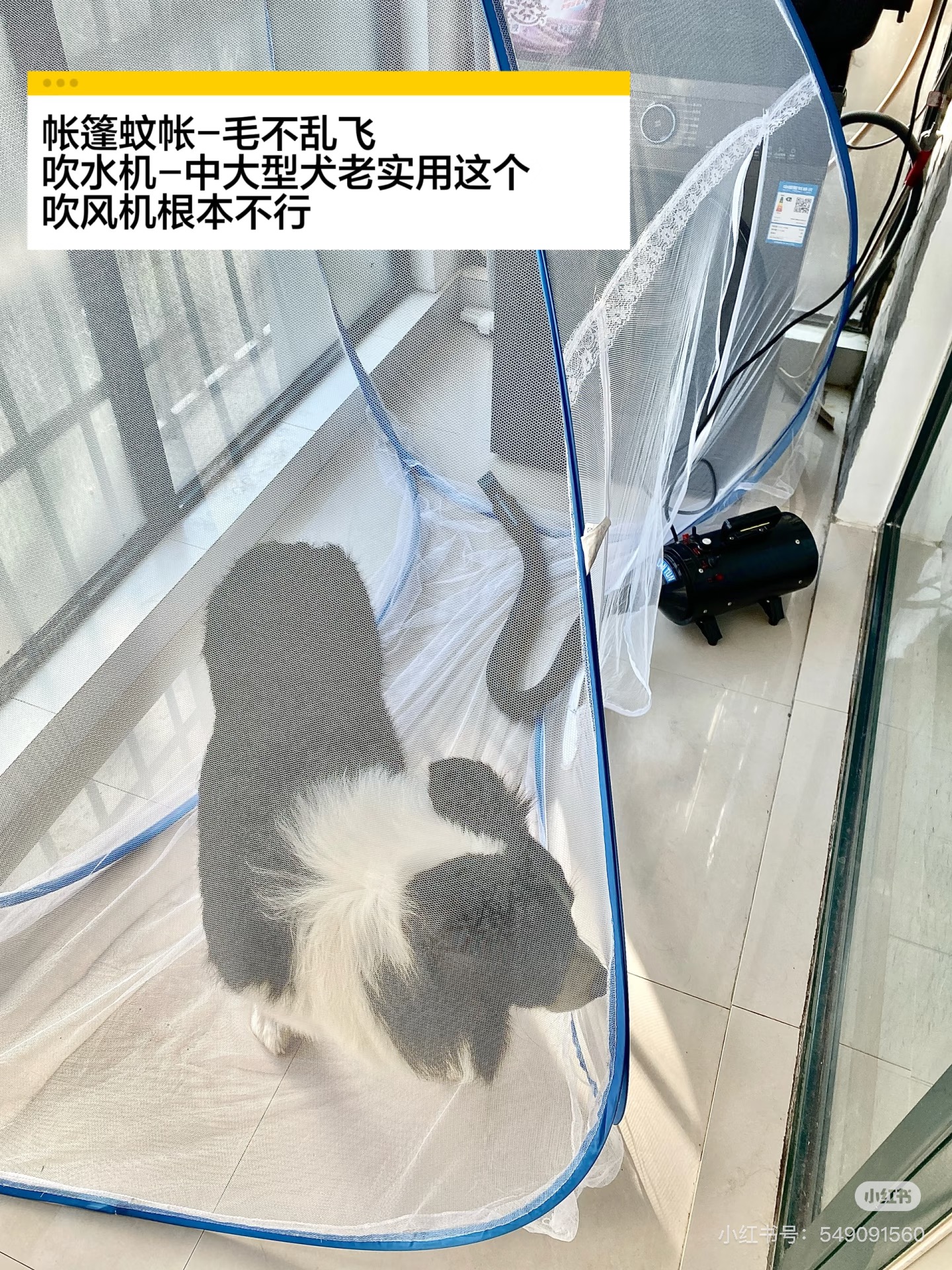 狗狗蚊帐洗澡防毛乱飞免安装自动打开蒙古包吹狗毛帐篷蚊帐宠物用